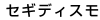 ZLfBX