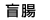 Ӓ