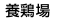 {{