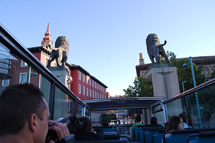 Bus